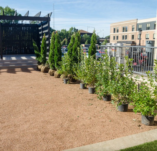Seasonal Tree Planting